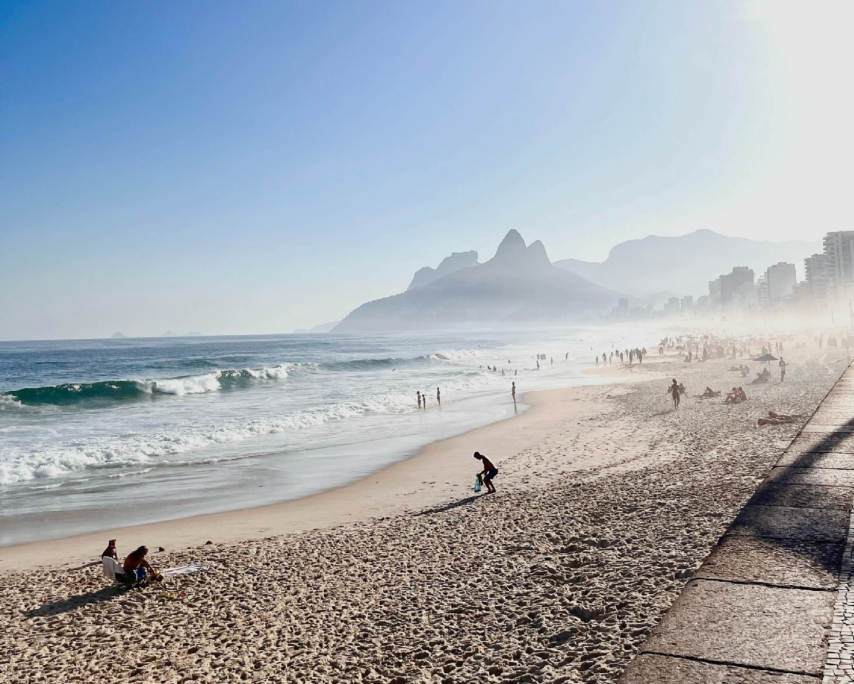 WEB BRASIL